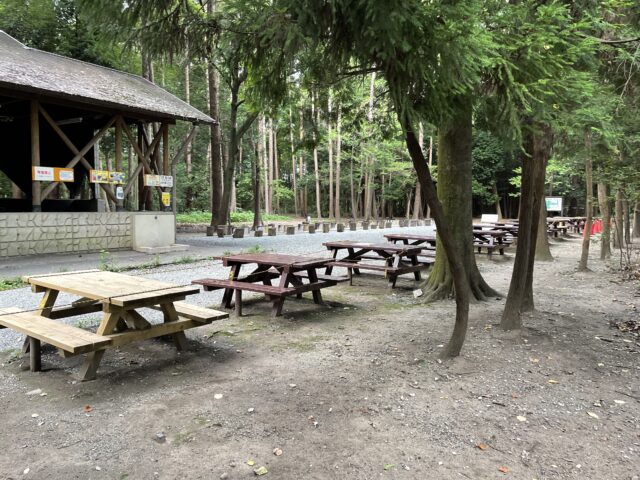泉の森キャンプ場