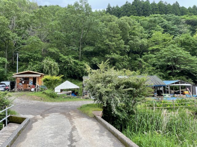 伊豆自然村キャンプフィールド